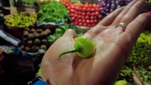 Hot paper The Trinidad Scorpion Butch T on A person hand at a organic grocery market. concept international food