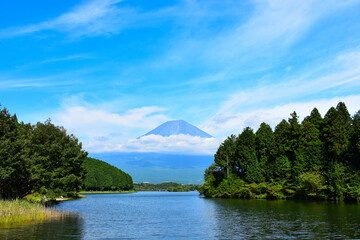 Mt. Fuji seen from Lake Tanuki