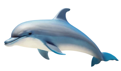 Fotobehang Dolphin side view, isolated background. Generative Ai © FP Creative Stock