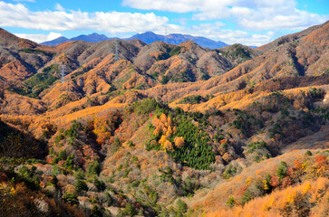 Naklejka premium 色付く山々