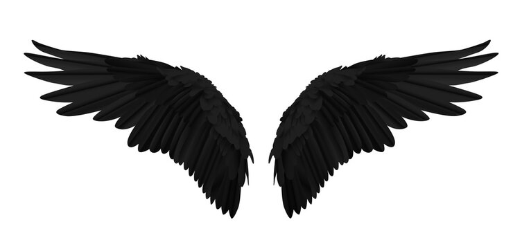 Pair of black realistic wings on transparent background