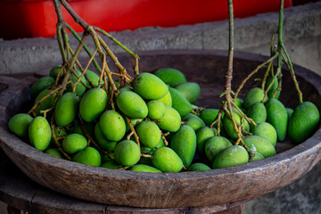 Small Fresh green mangoes . Mangifera indica L. Var.