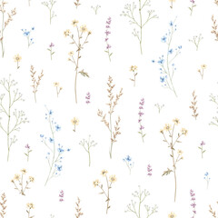 Seamless floral pattern with meadow dried flowers isolated on white background. Watercolor hand drawn illustration sketch