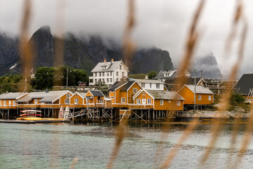Lofoten lanscape in summer