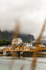 Lofoten lanscape in summer