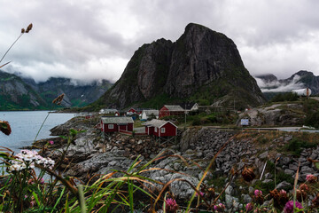 Lofoten lanscape in summer
