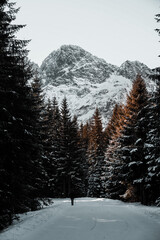 Winter in the mountains