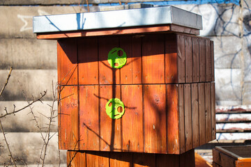Damaged bee hive hidden in a park in winter sunny day. Czech Republic.