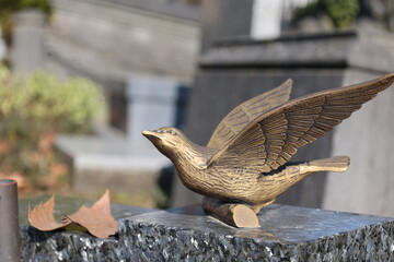 colombe cimetière