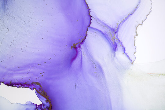 Abstract liquid painting background alcohol ink technique. Watercolor painting horizontal background. Alcohol ink violet, purple and pink colors. Marble luxurious fluid texture. © Mari Dein