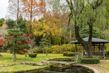日本　福井県三方上中郡若狭町にあるの若狭瓜割名水公園の池と紅葉した木々