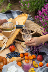 wine, fruits, berries, cheese, glasses picnic in lavender field. Selective focus