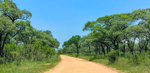 road in the countryside