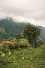 Fototapeta na wymiar A small wooden hut in beetween green hills in Colombia