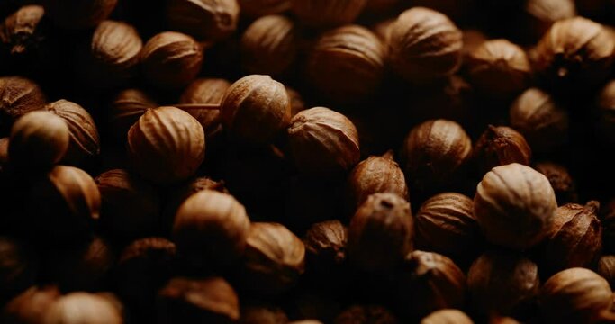 Circular Macro Shot Of Bio Organic Coriander