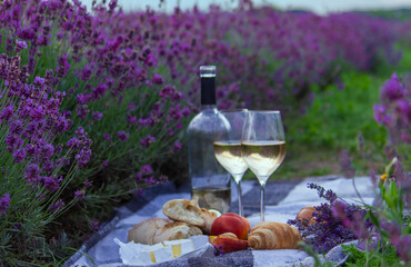 wine, fruits, berries, cheese, glasses picnic in lavender field. Selective focus