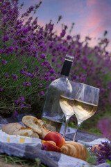 wine, fruits, berries, cheese, glasses picnic in lavender field. Selective focus