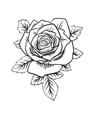 Rose outline for tattoo design illustration