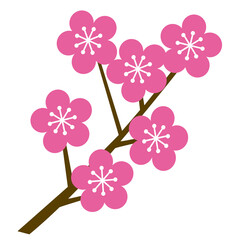 Cherry blossoms, representative spring flowers of April, 
4월의 대표적인 봄꽃 벚꽃송이들