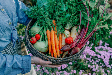 Woman holds a basket with vegetables in garden - 577353223