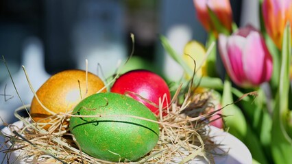 Easter colorful eggs outdoor in sunny warming day with beautiful flowers