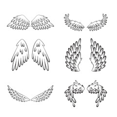 Set of bird or angel wings of different shape in open position. Contoured wings set