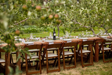 Wedding table in an apple orchard, ready for guests.