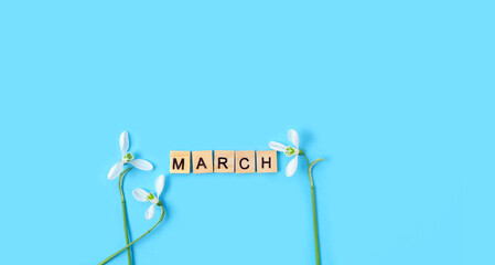 snowdrops flowers and wooden letters "March" close up on abstract blue background. March month calendar, spring season concept. top view. minimal style. template for design