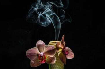 Fototapeta na wymiar Smoke from an extinguished candle in orchid flowers isolated on a black background