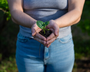 A woman holds a sprout in her hands outdoors.
