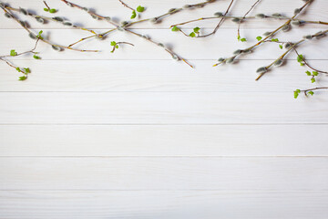 Willow branches and spring branches with leaves on white wooden background, copy space. Background for text congratulations - 577360042