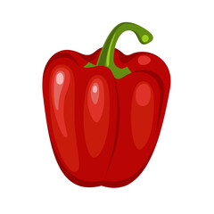Vector illustration of fresh fruit of sweet, red pepper isolated on white background. Healthy food concept.