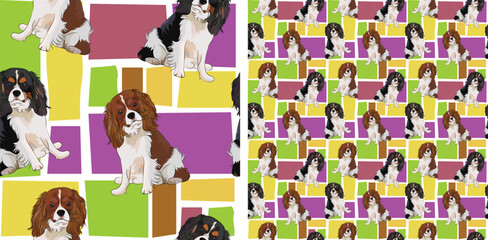 Obraz premium Cavalier king charles spaniel dog summer bright wallpaper. Holiday abstract shapes square seamless background, repeatable pattern. Birthday wallpaper, Christmas present, print tiles. Simple puzzle.