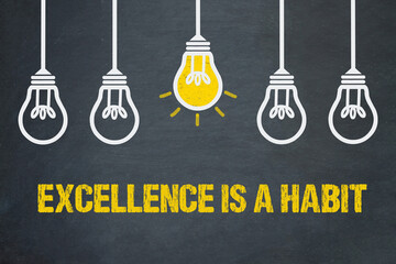 excellence is a habit	