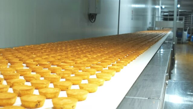 Industrial food factory or bakery, cookies on automated production line or conveyor belt, 