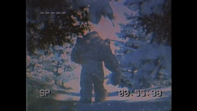 Bigfoot Walking In A Snowy Forest Old VHS