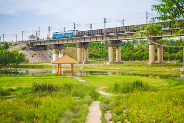 Meadows of flowers in the wild and trains on viaducts