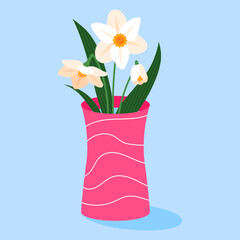 White daffodils with leaves in a pink vase. Spring flowers on a blue background.