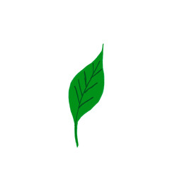 abstract floral design leaf outline isolated item decoration