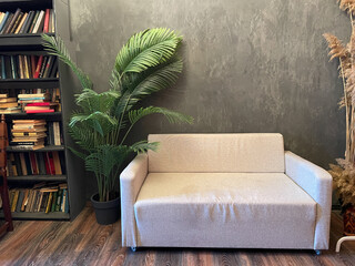 sofa with green plant shelves with books in the interior of the room