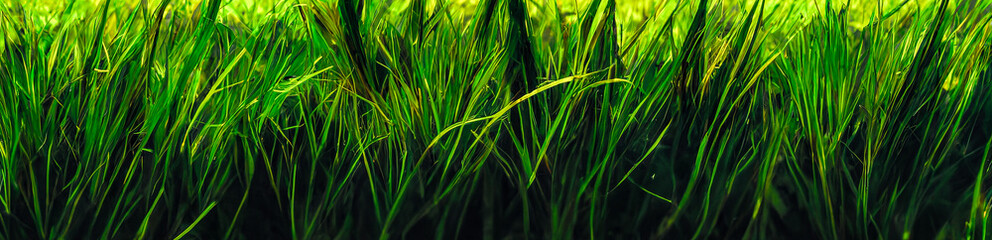 Naklejka premium Abstract grass, nature background, generative ai