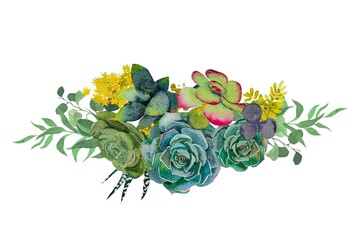 Fototapeta na wymiar A collection of stylish watercolor succulents.Watercolor Set of succulents