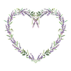 Fototapeta na wymiar Lavender heart. Lavender frame design. Vector illustration