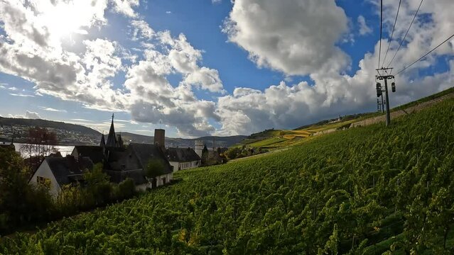 Vineyards in the hills near the town of Rüdesheim am Rhein in Hesse, Germany