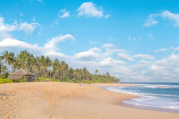 Beautiful view of the tropical beach of Sri Lanka on a sunny day