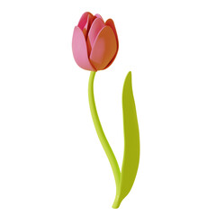 Pink tulip with green leaf isolated on white background. 3d rendering - obrazy, fototapety, plakaty