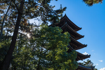 Fototapeta premium 日本 奈良県奈良市に建つ興福寺の五重塔