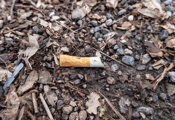 A cigarette butt lying on the ground