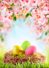 Easter composition with colorful Easter eggs in nest on green grass. Beautiful pink and white...