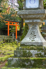 日本　奈良県奈良市の奈良公園内にある春日大社への向かう道に建つ壺神神社と紅葉